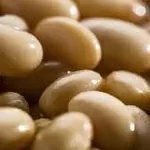 Закупівля квасолі для переробки та консервування