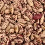 Продаж квасолі. Купити квасолю. Квасоля в наявності