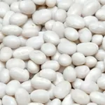 Квасоля на продаж. 20+ сортів в асортименті