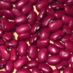 Високоякісна сортова квасоля. Великий вибір відбірних сортів