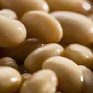 Закупівля квасолі для переробки та консервування