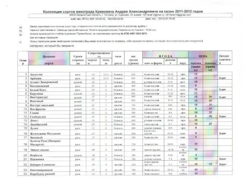 саженцы 58 сортов винограда