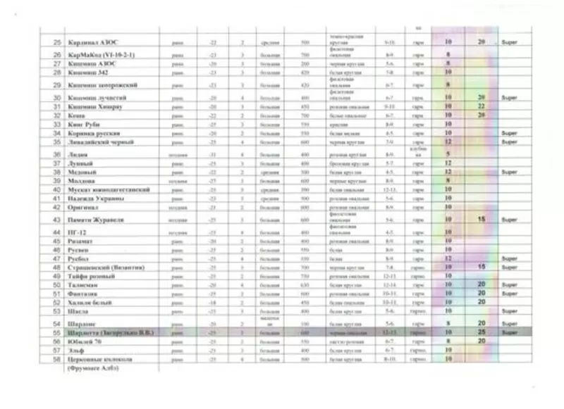 саженцы 58 сортов винограда 2