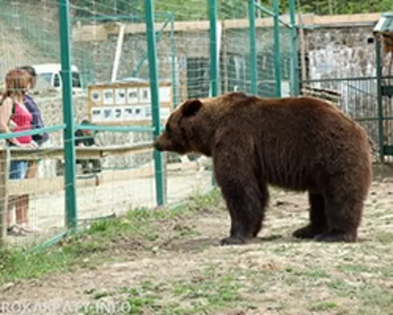 Тур в Закарпатье на выходные 2