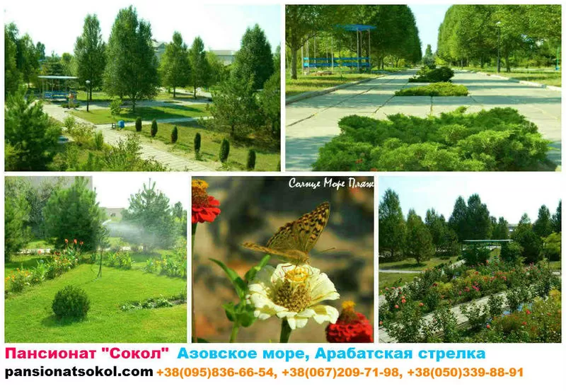Отдых на Азовском море Арабатская стрелка Пансионат Сокол Геническ 5