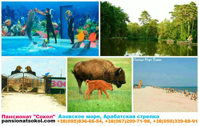 Отдых на Азовском море Арабатская стрелка Пансионат Сокол Геническ 2