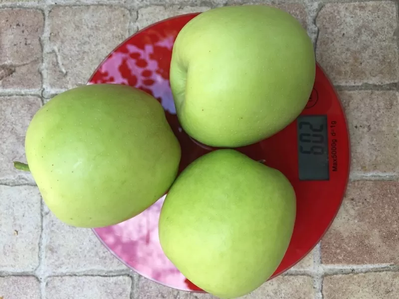Продам яблоки сорт Дельбар урожай 2018г.