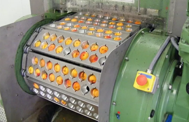 Машина для удаления косточек из вишни,  сливы,  абрикоса 1000 – 2000 кг 3
