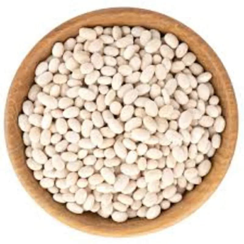 Куплю квасолю великий,  дрібний опт.  